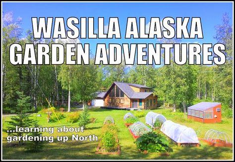 Garden Plotting, Alaska Gardening, Alaska Garden, Appalachian Homestead, Mountain Homestead, Alaska Homestead, Alaska Living, Wasilla Alaska, Moving To Alaska