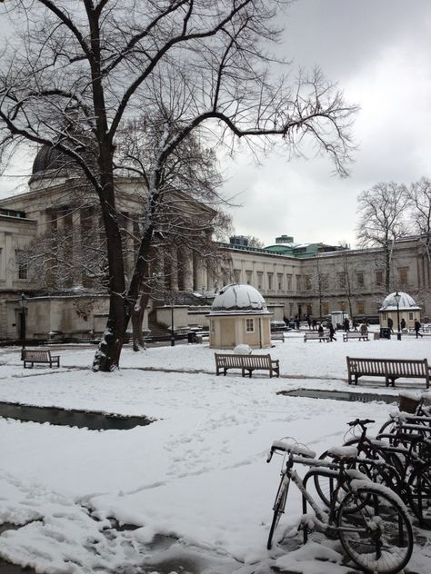 Ucl University Aesthetic, University College London Aesthetic, University Of London Aesthetic, Ucl Aesthetic, London University Aesthetic, Ucl University, History Of Psychology, Best Universities, Study In London