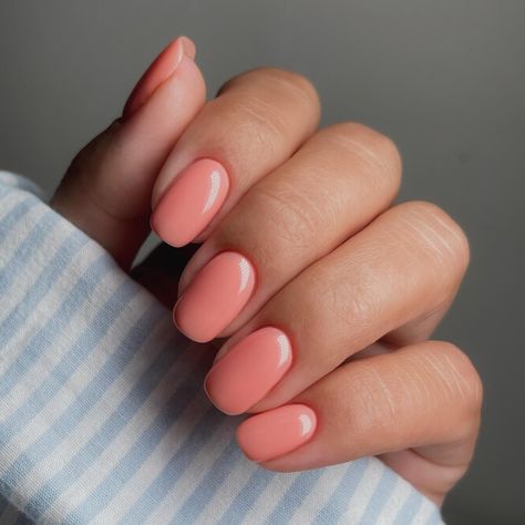 Spring Coloured Nails, Summer Nails Subtle, One Colour Gel Nails, Peachy Nail Color, Pale Coral Nails, Peach Coral Nails, Builder Gel Nails Design Short Summer, Peach Colour Nails, Cute Nail Colours