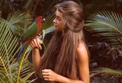 Brooke Shields Hair, Blue Lagoon Movie, Brooke Shields Young, Tropical Hair, Summer Shots, Isabelle Adjani, Sofia Loren, Boardwalk Empire, Brooke Shields