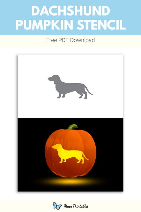 Free printable dachshund pumpkin stencil. Download it at https://museprintables.com/download/pumpkin-stencil/dachshund/ Pumpkin Carving Weiner Dog, Dachshund Pumpkin Carving Stencil, Pumpkin Carving Dachshund, Weiner Dog Pumpkin Carving, Weenie Dog Pumpkin Carving, Sausage Dog Pumpkin Carving, Wiener Dog Pumpkin Carving, Dachshund Pumpkin Carving Ideas, Weiner Dog Pumpkin