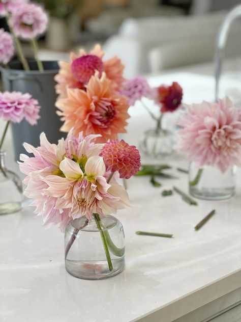 Dahlias in vase Pink And Orange Bud Vases Wedding, Bud Vases Bright Flowers, Bridal Shower Bud Vases, Dahlias In Bud Vases, Garden Party Bud Vases, Dahlia Table Decorations, Colourful Bud Vases, Bud Vases Cocktail Table, Pink Bud Vases Wedding