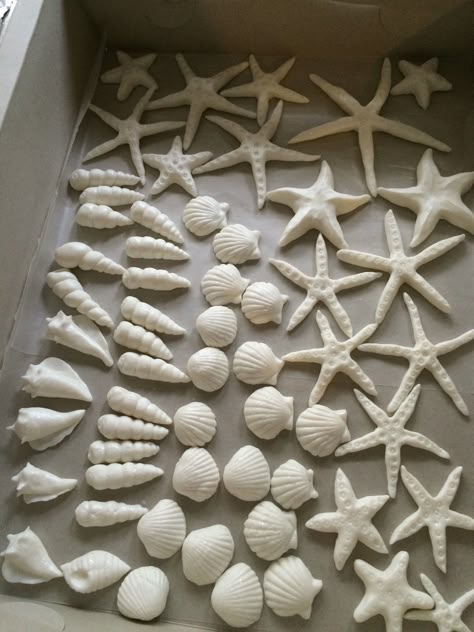 Clay Ocean Animals, Clay Shell, Fondant Shells, Air Dry Clay Beach Theme, Ocean Ceramics, Sea Theme Clay Art, Sea Life Clay Sculptures, Starfish Polymer Clay, Fondant Seashells