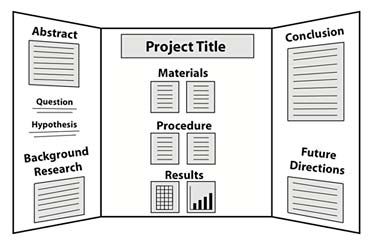 Display Board Layout Science Fair Display Board, Science Fair Poster, Science Project Board, Preschool Materials, Project Display Boards, Science Projects For Preschoolers, Science Fair Board, Science Fair Projects Boards, Science Fair Project