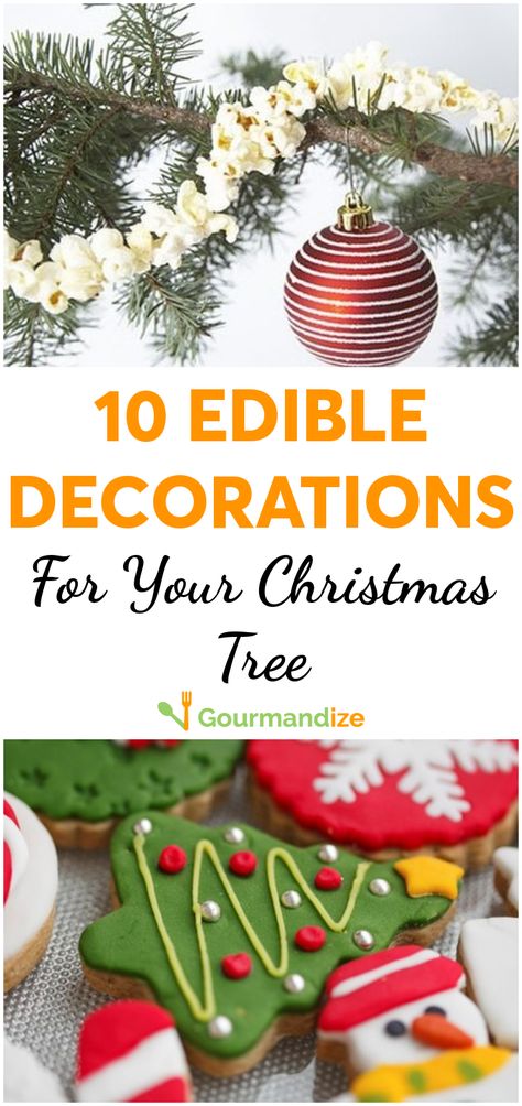 We've decided to try edible decorations this year! Not only are they fun to make, but throughout the holiday season, we can enjoy eating them too!   #holidays #christmas #decorations #edibledecorations #fundecorations #holidaydecorations Edible Christmas Ornaments, Edible Tree Decorations, Edible Ornaments, Edible Decorations, Sparkling Lights, Holidays Christmas, Christmas Is, Fun Decor, The Holiday