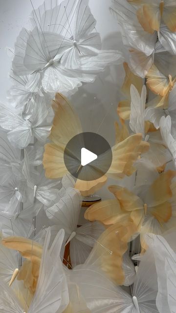 manney.paperart.design on Instagram: "Different colors of giant organza butterflies display. #butterfly #🦋 #display #decoration #decorationidea" How To Make A Large Butterfly, Diy Large Butterfly, Organza Butterfly, Large White Butterfly, Large Butterfly Cricut, Organza Giant Flower, Giant Flowers, Daisy Chain, Different Colors