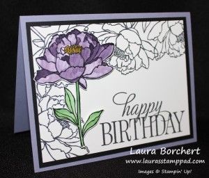 Technique Tuesday – Coloring with Aqua Painters!!! You've Got This Stampin' Up Stamp Set, Happy Birthday Everyone Hostess Stamp Set, Video Tutorial www.LaurasStampPad.com Technique Tuesday, Birthday Cards For Women, Stamp Pad, Cards Ideas, Orange Flower, Card Tutorials, Losing A Pet, Orange Flowers, Flower Cards