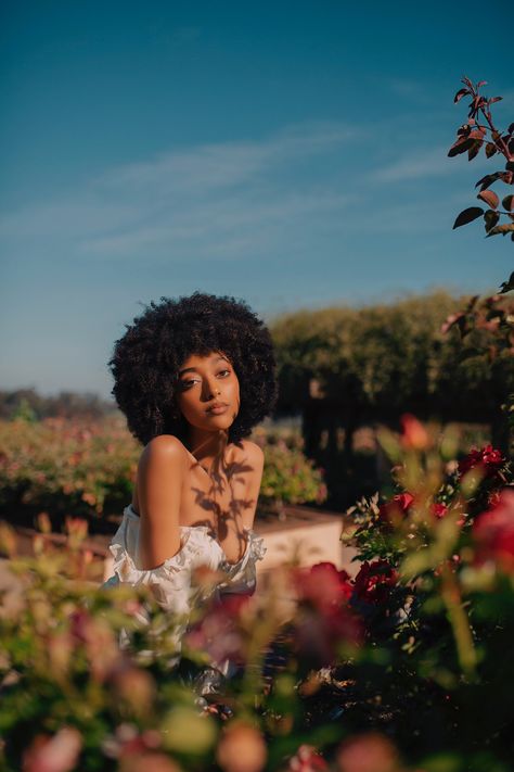 the sun’s daughter🌞 on Twitter: "Don’t touch my soul....🤎… " Golden Hour Photoshoot Black Women, Nature Photoshoot Black Women, Black Model Photoshoot Outdoor, Modeling Themes, Afro Photoshoot, Mother Nature Photoshoot Black Women, Masters Photoshoot, Nature Shoot Black Women, Black Joy