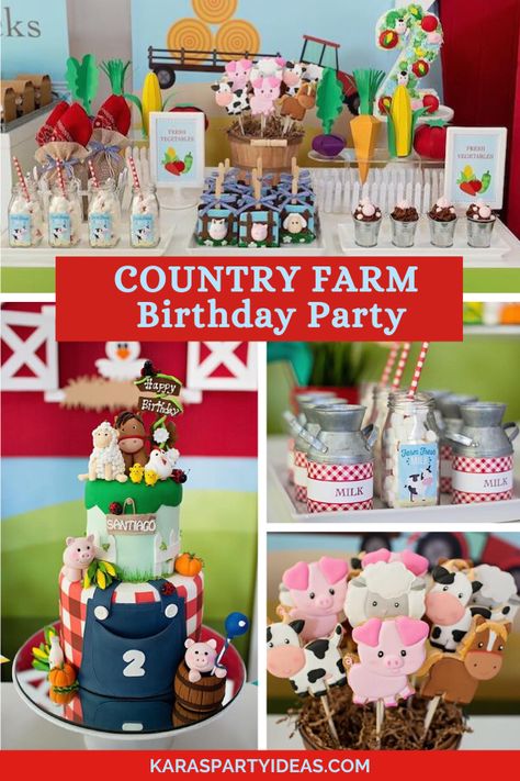 Kara's Party Ideas Country Farm Birthday Party | Kara's Party Ideas Farm Animal Birthday Decor, Farm Party 3rd Birthday, Farm Barn Birthday Party Ideas, Barnyard Party Snacks, Indoor Farm Birthday Party, Farm Party Decorations Rustic, Two Year Old Barnyard Birthday, Old Mcdonald 3rd Birthday Party, Three I E I O Birthday Party