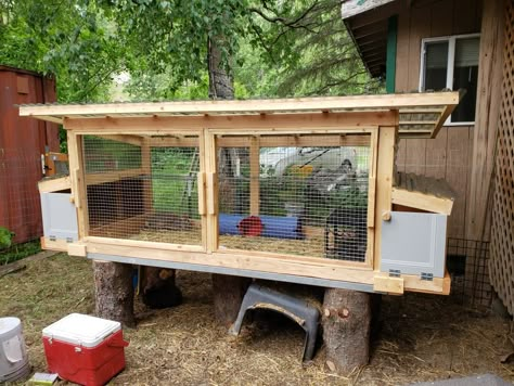 Pallet Rabbit Hutch Diy, Simple Rabbit Hutch, Outside Rabbit Enclosure Ideas, Rabbit Hutch Outdoor Diy, Outside Rabbit Enclosure, Bunny Hutch Diy Outdoor, Diy Rabbit Hutch Outdoor, Diy Rabbit House, Baby Rabbits Cute