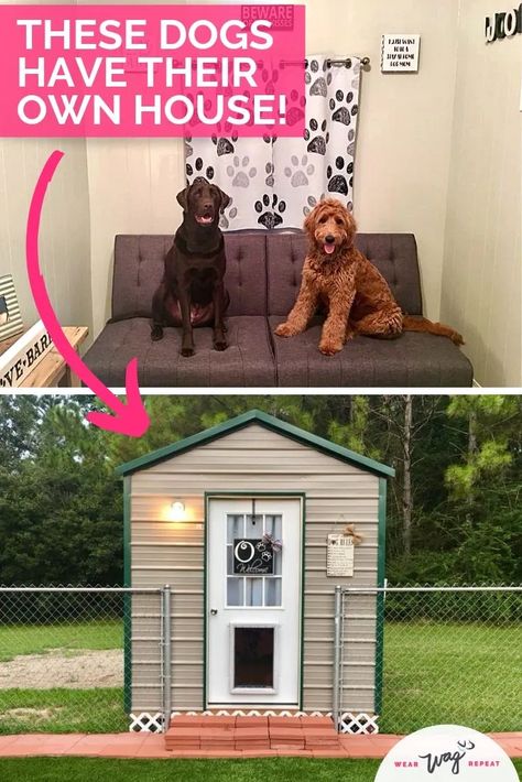 Heated And Cooled Dog House, Room For Dog In House, Heated Dog House Diy, Diy Dog Shed House, Modern Dog House Outdoor, Dog House Shed, Diy Dog House Outdoor, Amazing Dog Houses, Room For Dogs