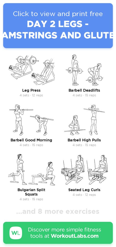 Leg Day Glutes And Hamstrings, Ham And Glute Workout, Hamstrings And Glutes Workout, Legs Hamstrings, Glutes And Hamstrings Workout, Workout Planet Fitness, Hamstrings Workout, Hamstrings And Glutes, Glute Workout Gym