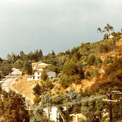 Laurel Canyon, California Rock And Roll History, 70s Aesthetic, Desert Sun, Laurel Canyon, San Fernando Valley, Hollywood Hills, California Dreamin', California Dreaming, Baby Booties