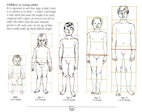 Child Anatomy, My Body Parts, Proportion Art, Human Proportions, Body Parts For Kids, Drawing Proportions, Anatomy Illustration, Human Anatomy Reference, Toddler Drawing