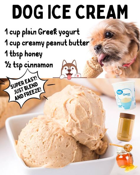 Peanut Butter Dog Ice Cream is a homemade ice cream that only takes 5 minutes to make and is totally pet-friendly. This delicious doggy treat is a combination of peanut butter, honey, and yogurt that will definitely have your puppy's tail wagging! Dog Ice Cream Recipe, Recipe With Honey, Foods Dogs Can Eat, Pet Treats Recipes, Dog Treats Homemade Easy, Easy Dog Treat Recipes, Frozen Dog Treats, Dog Biscuit Recipes, Dog Ice Cream