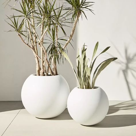 Sphere Small White Indoor/Outdoor Planter + Reviews | Crate and Barrel Large Outdoor Planters, Corn Plant, Fiberglass Planters, Indoor Outdoor Planter, Outdoor Planter, Planter Pots Outdoor, White Planters, Outdoor Pots, Large Planters