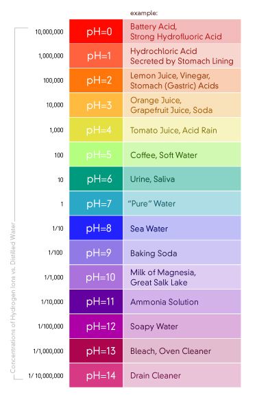 pH – Pure Water Products, LLC #savethewater Ph Scale Chemistry, Cosmetology Instructor, Cosmetology State Board, Beauty School Cosmetology, Ph Scale, Hair Science, Chemistry Classroom, Cosmetology Student, Teaching Chemistry