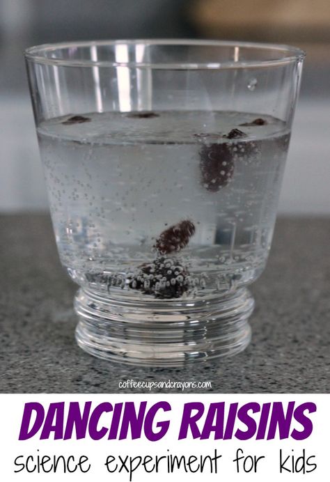 Dancing Raisins Science Experiment | Coffee Cups and Crayons Dancing Raisins Experiment, Dancing Raisins, Science Experience, Science Camp, Summer Science, Matter Science, Kid Experiments, Easy Science Experiments, States Of Matter