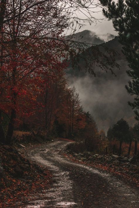 Elder Scrolls Aesthetic, Fallcore Aesthetic, Dark Cozy Aesthetic, Scrolls Aesthetic, Moody Fall Aesthetic, Mountains In The Fall, Autumn Dark, Autumn Magic, Dark Autumn