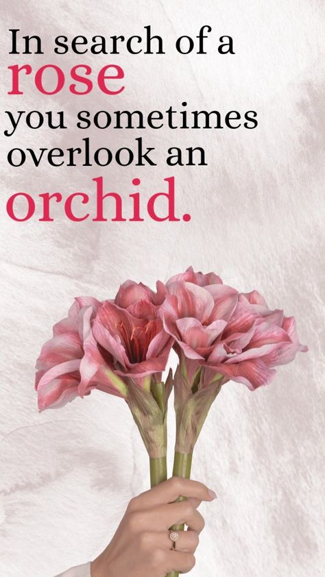 Orchid Quotes, Inspiration Words, Inspirational Wallpaper, Love Quotes For Him Romantic, Inspirational Wallpapers, Quotes For Him, Love Quotes For Him, Daily Quotes, Wallpaper Quotes