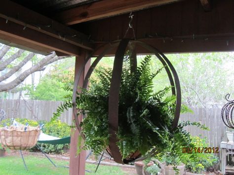 FanScape Marlene H. planter from wine barrel rings Barrel Metal Ideas, Wine Ring Decor, Wine Barrel Hoops Ideas, Whisky Barrel Ring Ideas, Whiskey Barrel Hoop Ideas, Wine Barrel Ideas Garden, Wine Barrel Hoop Ideas, Wine Barrel Ring Art, Bourbon Barrel Ring Ideas