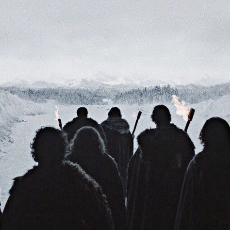 House Stark Aesthetic, Jon Snow Aesthetic, Asoiaf Aesthetic, Stark Aesthetic, Cregan Stark, Got Aesthetic, Eddard Stark, Blue Blaze, Yennefer Of Vengerberg