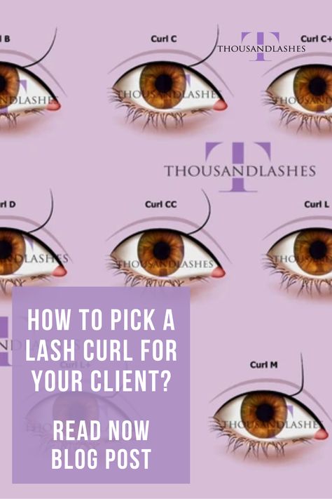 Lashes C Curl Vs D Curl, Different Lash Extension Curls, Cc Curl Vs D Curl Lashes, Eyelash Extensions Curl Chart, C And D Curl Eyelash Extensions, Cc Vs D Curl Lash Extensions, C Vs D Curl Lash Extensions, Lash Curl Types, Lash Extension Curl Types