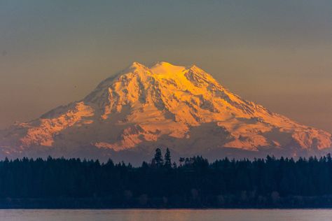 Sunset on Mt. Rainier - Olympia, WA Washington Mountains, Landscapes Paintings, Monte Fuji, Top Of A Mountain, Sunrise Art, Mount Rainier National Park, Mt Rainier, Rainier National Park, Nature Art Painting