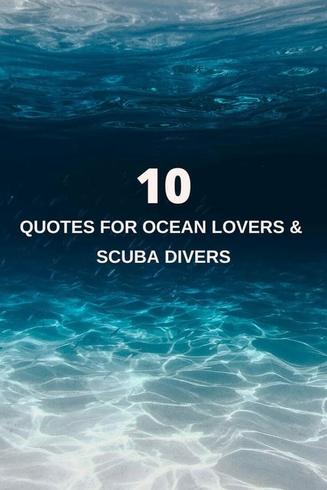 Inspiring and funny ocean & scuba diving quotes for waterlovers, mermaids, and divers for World Ocean Day. #worldoceanday Room Diver Ideas, Snorkeling Quotes, Freediving Quotes, Scuba Diving Captions Instagram, Ocean Lover Quotes, Ocean Sayings, Scuba Quotes, Springboard Diving Quotes, Quotes About The Ocean