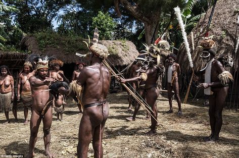 A man from the Dani tribe kills a pig with bow and arrow at Obia Village. Pigs feasts are extremely important to celebrate events communally; the success of a feast, and that of a village organiser, is often gauged by the number of pigs slaughtered Tribes Man, West Papua, Cultural Festival, Bow And Arrow, Vanuatu, Travel News, Samoa, Papua New Guinea, Pigs