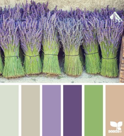 bundled hues | design seeds | Bloglovin’ Color Palate, Design Seeds, Color Balance, Purple And Green, Design Case, Colour Schemes, Color Pallets, Color Swatches, Room Colors