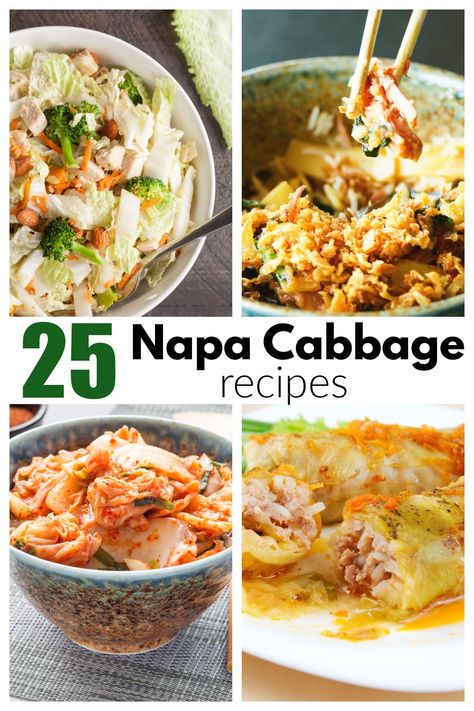 Napa Cabbage Kimchi, Nappa Cabbage Rolls Recipes, Recipes Using Napa Cabbage, Recipes With Napa Cabbage, Cabbage Recipe Asian, Nappa Cabbage Salad Recipes, Napa Recipes, Nappa Cabbage Recipes, Shrimp Cabbage