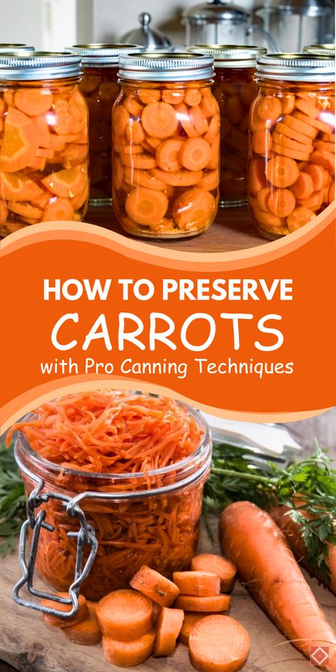 Preserve carrots the right way with this pro canning guide! Covering everything from preparation to proper storage, these canning tips make it easy to keep your pantry stocked with delicious, long-lasting carrots. Save this pin to start canning carrots at home and enjoy savings year-round. Pressure Can Carrots, Dry Canning Carrots, Preserve Carrots, Preserving Carrots, Can Carrots, Canning Carrots, Canning Guide, Canned Carrots, Canning Salt