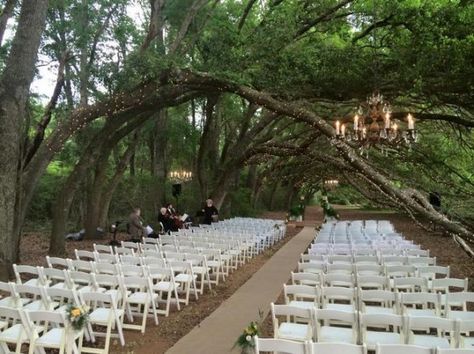 Oak Hollow Farms - Fairhope, Alabama  25 beautiful places to get married in Alabama | AL.com Alabama Wedding Venues, Wedding Destinations, Farm Wedding Venue, Weddings By Color, Alabama Weddings, Destination Wedding Locations, Places To Get Married, Affordable Wedding Venues, Best Wedding Venues