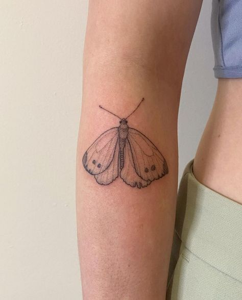 Moth Stick And Poke, Traditional Moth, Moth Tattoo Meaning, Lunar Moth Tattoo, Traditional Moth Tattoo, Luna Moth Tattoo, Moth Tattoos, Aesthetic Tattoo Ideas, Moth Tattoo Design