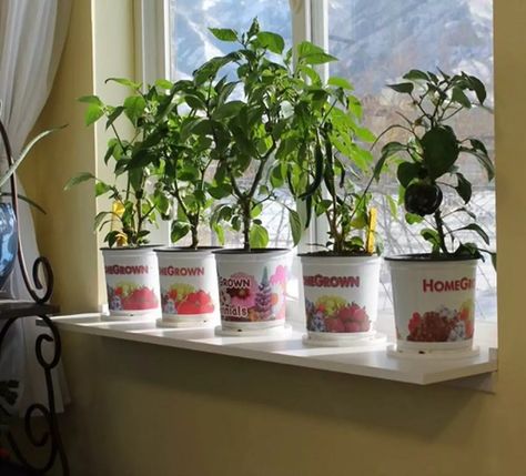 13 DIY Extensions to Maximize Windowsill Gardening Windowsill Extension, Indoor Window Sill Planter, Window Sill Extension, Diy Window Sill, Window Sill Planter, Window Plant Shelf, Windowsill Garden, Kitchen Windowsill, Window Plants