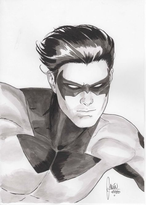 Nightwing by Mikel Janin * Mikel Janin, Nightwing Art, Nightwing Robin, Bob Kane, George Perez, Batman Family, Detective Comics, Bat Family, Nightwing