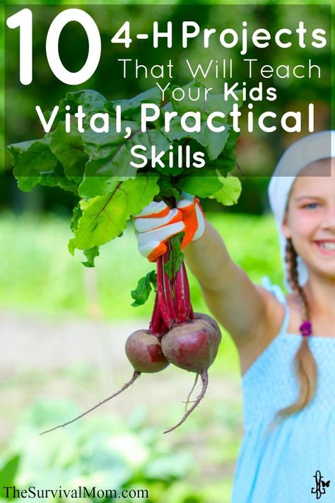 10 4-H Projects That Will Teach Your Kids Vital, Practical Skills | www.TheSurvivalMo... 4 H Activities Ideas, 4h Activities For Kids, 4 H Project Ideas For Kids, 4 H Cloverbud Project Ideas, 4-h Activities, Fair Projects 4-h, Cloverbud 4h Projects, Cloverbuds 4-h Activities, 4h Cloverbud