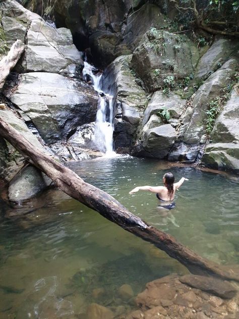 Waterfalls long circuit at the Carioca Sierra, Tijuca National Park - Airbnb Tijuca National Park, Forest Canopy, Tropical Forest, Beautiful Waterfalls, Ecosystem, Special Places, The Forest, The Park, How To Introduce Yourself