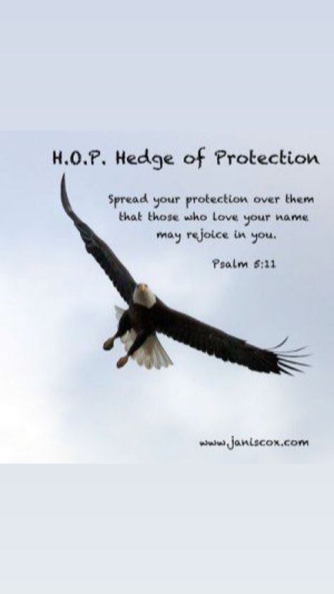 Hedge Of Protection Scripture, Pray For Family, Eagles Quotes, Sinner Saved By Grace, Protection Prayer, Hedge Of Protection, God Power, Gods Quotes, Spiritual Photos