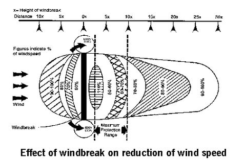 Wind Break Diagram Landscape Development, Fence Illustration, Fence Drawing, Fence Colours, Fence Modern, Timber Fence, Short Fence, Balcony Fence, Temporary Fence