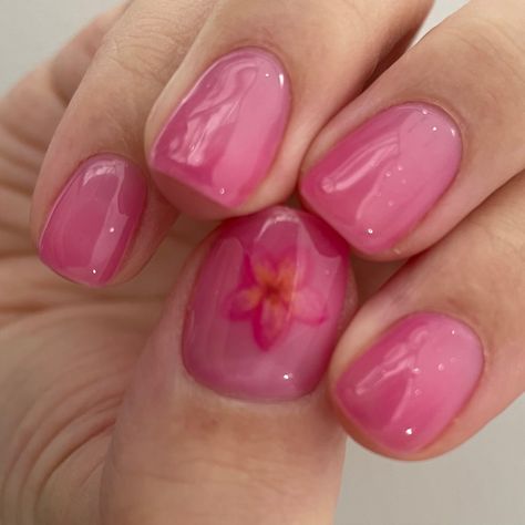 Short Nails Natural Designs, Natural Nails Spring, Pretty Soft Nails, Simple Nail Trends, Simple Nails Jelly, Nail Paint Ideas Natural Nails, Gel Polish Nail Ideas, Summer Pink Nails Short, Natural Nails With Flower Design