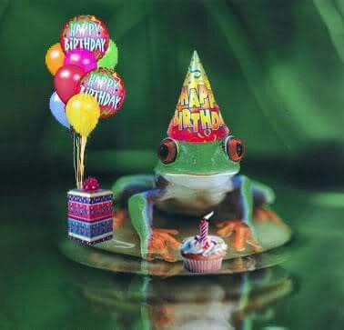 Birthday Frog Happy Birthday Frog, Happy Birthday Jeff, Birthday Frog, Beatles Birthday, Free Happy Birthday Cards, Wish You Happy Birthday, Frog Meme, Happy Birthday Kids, Frog Pictures