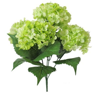 Hydrangea Season, Aesthetic Colour, Mustard Plant, Bells Of Ireland, Plastic Grass, Hydrangea Bush, Hydrangea Colors, Picture Tree, Green Hydrangea