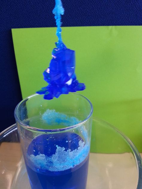 Our copper sulphate crystal growth still get's oh's and ah's from the office staff.  http://www.glasgowsciencecentre.org Copper Sulphate, Crystal Growth, Office Staff, Science Project, Science Projects, Childcare, The Office, Copper, Science