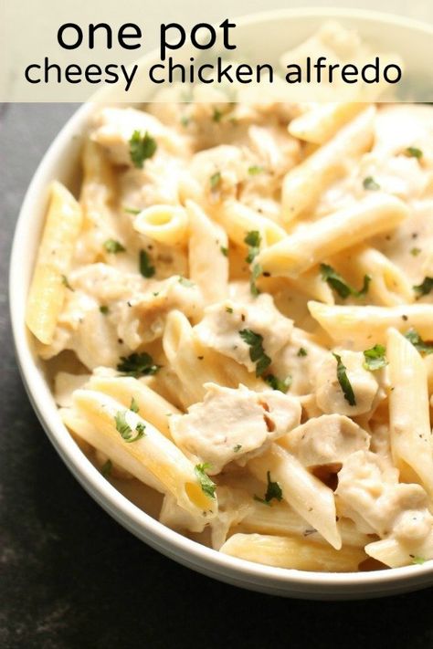 Alfredo Recipe Easy, Easy Chicken Fettuccine, Pasta Alfredo Recipe, Easy Chicken Fettuccine Alfredo, Cheesy Chicken Alfredo, Lasagne Roll Ups, Chicken Alfredo Fettuccine Recipe, Fettucini Alfredo, Chicken Alfredo Lasagna