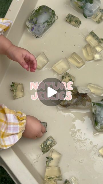 CU @ PLAYTIME on Instagram: "LETS MAKE NATURE JELLIES! 🍃   If you came to CU @ Playtime this morning, you would’ve seen nature jellies in the sensory table outside, alongside frozen blocks of ice containing flowers and leaves! It was the cleanest ‘messy’ sensory yet!  To make them, pop down to @woolworths_au and grab some gelatine powder. The ratio I used was four tablespoons of powder, to 2 cups of water. Using those ratios, following the instructions on the back of the container.   I think you could easily shake this activity up with different ‘mix-ins’. Fruit? Toys?   Follow along for more easy & affordable activities for babies and toddlers!  . . . . #SensoryPlay #DIYsensory #PlaygroupFun #KidsCrafts #MessyPlay #CreativeKids #ToddlerActivities #SensoryBins #MontessoriPlay #PlayBasedLe Activities For Babies, Sensory Table, Water Table, Messy Play, Sensory Bins, Sensory Play, Infant Activities, Creative Kids, Flowers And Leaves