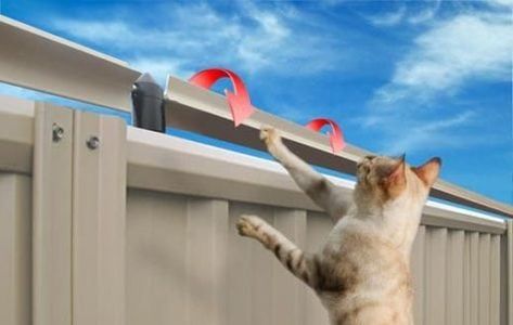 Our outdoor cat fence really works! Keep your cat safely in your own yard and keep stray cats out! Easy to install. Try our outdoor cat fence today. Cat Habitat, Cat Fence, Cat Patio, Outdoor Cat Enclosure, Dog Toilet, Cat Run, Cat Proofing, Outdoor Cat, Cat Cages