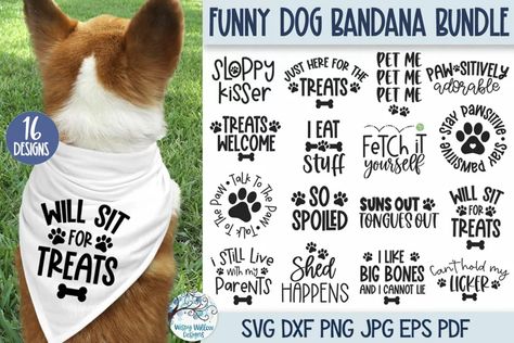 Funny Dog Bandana SVG Bundle | 16 Pet Shirt Phrases Dog Bandana Sayings, Dog Bandana Svg, Dog Phrases, Bandana Svg, Dog Crafts, Pet Shirts, Cricut Craft Room, Svg For Cricut, Cricut Projects Vinyl