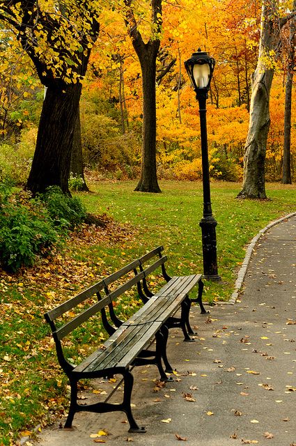 Bench Rest, Park Benches, New York Summer, Autumn In New York, Autumn Scenery, Foto Art, Autumn Beauty, Yellow Leaves, Lombok